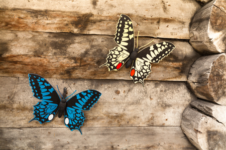 Rustic barn in a Swiss mountain valley with butterflies.の写真素材