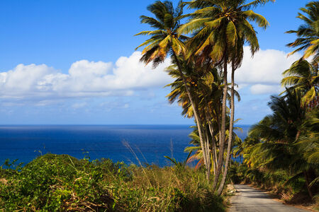 Road to the beautiful Bathsheba Beach in Barbados.