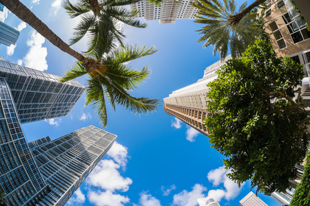 Fish eye view of the Brickell area in downtown Miami along Biscayne Bay.の写真素材