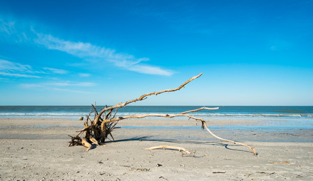 Pretty Fort Myers Beach on the west coast of Florida の写真素材