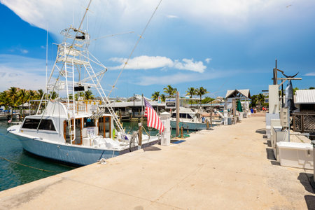 KEY WEST, FLORIDA USA - JUNE 26, 2014  Charter boats available for hire at the Bight Marina in Key West のeditorial素材