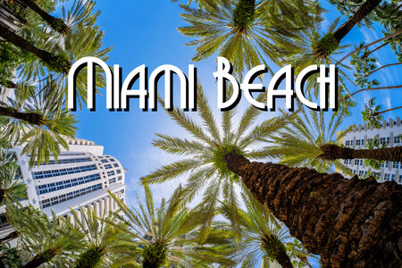Beautiful Miami Beach fish eye cityscape with palm trees and art deco architecture.の写真素材