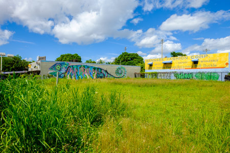 Miami, Florida USA - October 4, 2015: The  urban Wynwood area in midtown has become a popular tourist destination to view the colorful graffiti art murals that cover the facades of commercial warehouse style buildings.のeditorial素材