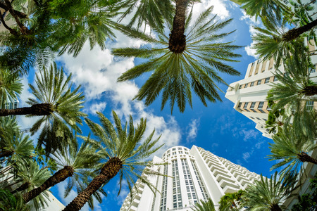 Beautiful Miami Beach fish eye cityscape with art deco architecture and palm trees.の写真素材