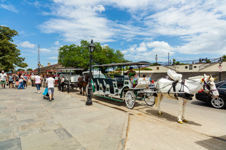 New Orleans, LA USA - April 20, 2016: Horse carriage vendor waiting for visitors on Decatur Street in the historic French Quarter district.のeditorial素材