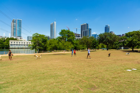 Austin, TX USA - April 14: Popular dog park along Auditorium Shores with the downtown skyline in the background.のeditorial素材
