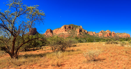 The natural beauty of the red rock canyons and sandstone of Sedona in Arizona.のeditorial素材