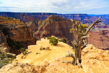 Beautiful Grand Canyon National Park along the South Rim in Arizona.の写真素材
