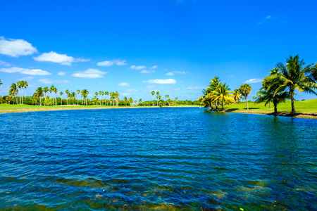 Beautiful golf course landscape in Miami.の写真素材