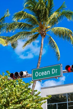 Cityscape view of beautiful Miami Beach along Ocean Drive with coconut palm trees.の写真素材