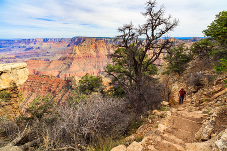Grand Canyon, AZ USA - October 27, 2016: Visitor enjoying the beautiful Grand Canyon National Park along the South Rim in Arizona.のeditorial素材