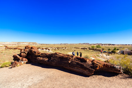 Navajo County, AZ USA - October 19, 2016: The Petrified Forest National Park is a popular tourist destination in northeastern Arizona.のeditorial素材
