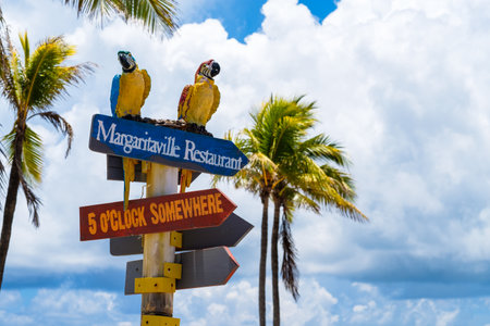Hollywood Beach, Florida - July 6, 2017: Cityscape view of the colorful signs for the Margaritaville Resort, a popular tourist destination in Broward County.のeditorial素材