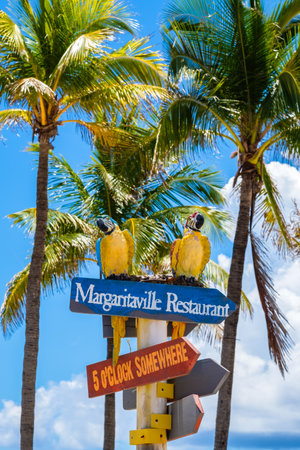 Hollywood Beach, Florida - July 6, 2017: Cityscape view of the colorful signs for the Margaritaville Resort, a popular tourist destination in Broward County.のeditorial素材