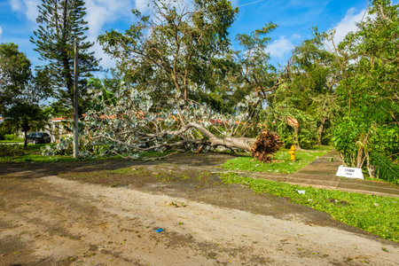 Coral Gables, Florida - September 11, 2017: Debris lined streets as a result of Hurricane Irma in this popular neighborhood in Miami.のeditorial素材