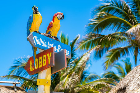 Hollywood Beach, Florida - July 6, 2017: Cityscape view of the colorful signs for the Margaritaville Resort, a popular tourist destination in Broward County.のeditorial素材