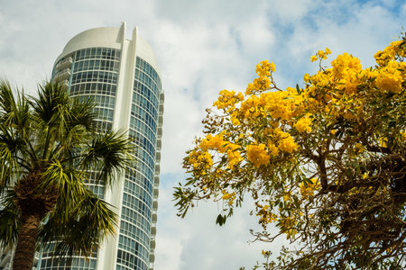 Cityscape view of the the popular Las Olas downtown district.のeditorial素材