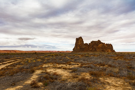 Rural desert landscape on a cloudy day between the Arizona and Utah border.のeditorial素材
