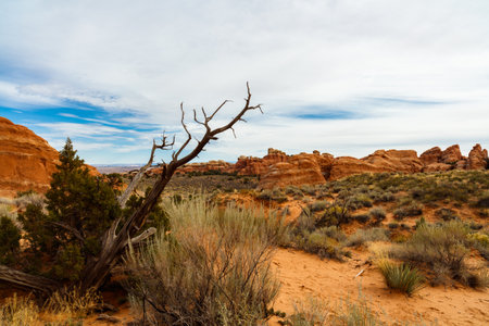 The natural beauty of Arches National Park in Utah.のeditorial素材