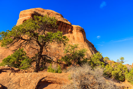 The natural beauty of Arches National Park in Utah along the Devils Garden hiking trail.のeditorial素材