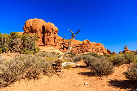 The natural beauty of Arches National Park in Utah.のeditorial素材