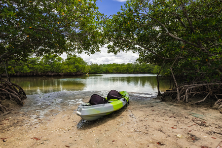 Scenic bay view of the mangrove swamp with a kayak on shore along the bay in Oleta River State Park in North Miami Beach.の写真素材