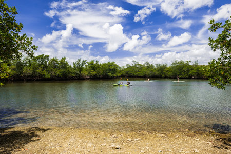 Miami, FL USA - June 25, 2018: Scenic view of visitors enjoying the kayaks and paddle boards at the popular Oleta River State Park in North Miami Beach located along the bay.のeditorial素材