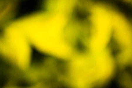 Abstract macro view of green plant leaves.の写真素材