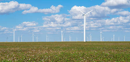 Cotton field in central Texas with windmills