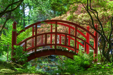 japanese gardenの写真素材