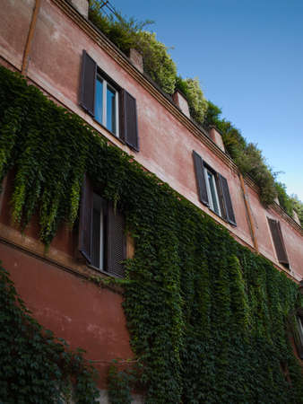 wall of the house overgrown with vines in the skyの写真素材
