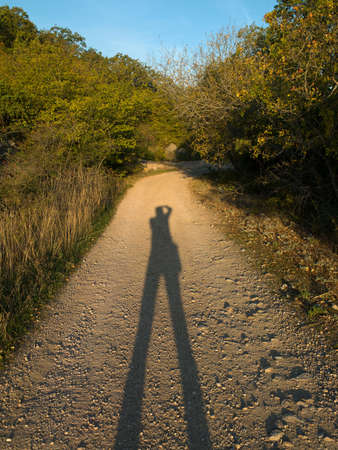 shadow of the photographer on alleyke between green shrubs