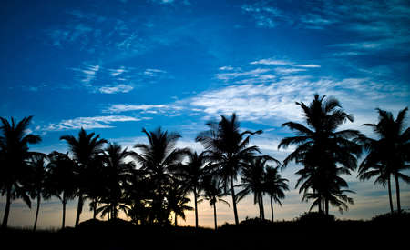 Sunset on the beach in Goa Indiaの写真素材