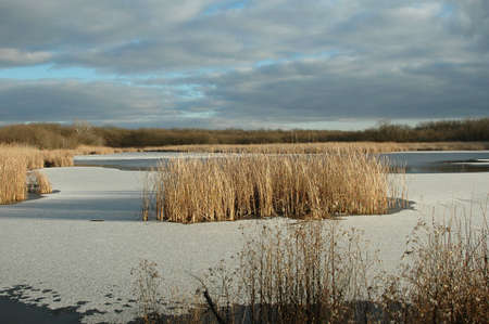 photo landscape of blue sky and a small pond