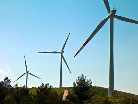 photo of windmills in a row on a background of blue sky