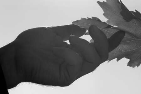 Photo of this hard-working manの写真素材