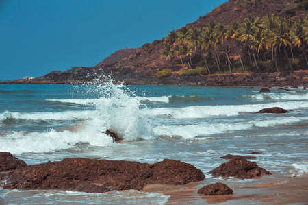 beautiful landscape beach in Goa in Indiaの写真素材
