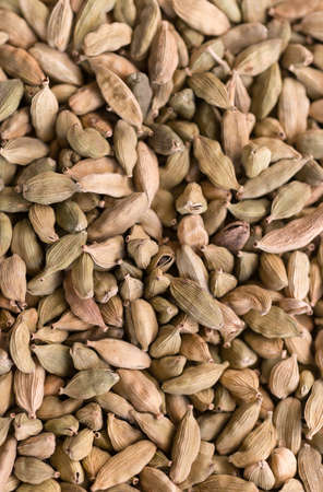 Spice seasoning cardamom  for meat, fish and saladsの写真素材