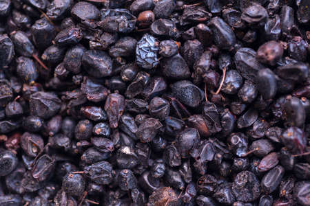 Spice seasoning for meat, fish and saladsの写真素材