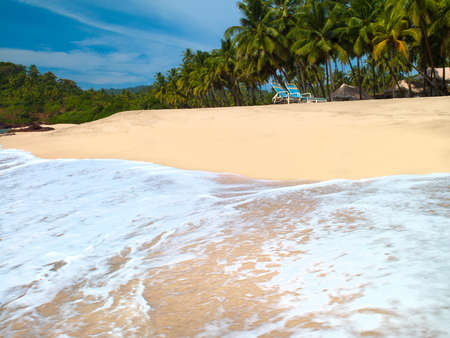 beautiful seascape with palm trees against the blue skyの写真素材