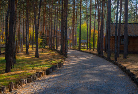 The path and wooden houses in the woods