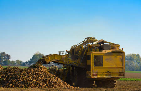 Machine cleaning of sugar beet on the field