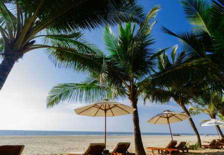 Beautiful beach in Goa. Indiaの写真素材