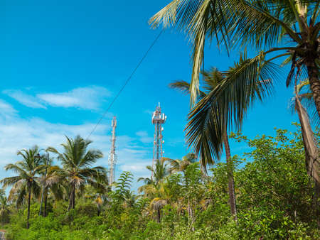 Palms and radio tower against the skyの写真素材
