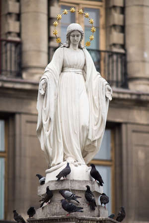 Statue of Virgin Mary and pigeons in Lvivの写真素材