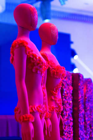 Red female mannequin on a blue backgroundの写真素材