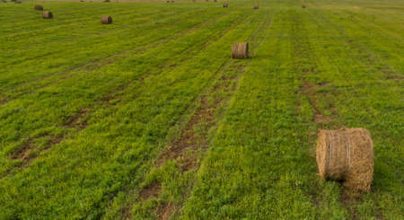 Hey stacks on the field from a bird's eye viewの写真素材