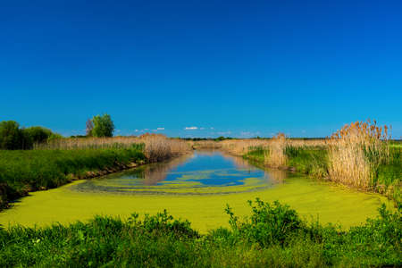 Landscape of nature with a lake in Ukraine