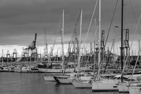 Black and white photo of yachts in the port of Valencia city. Spain.の写真素材