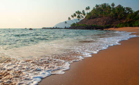 Coast of the sea with palm trees on Goa. India.の写真素材